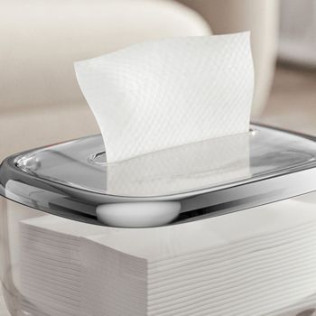 Tissue Box Transparent Napkin Box Simple Creative Storage Box Fixed Lid Paper Organizer Sliver