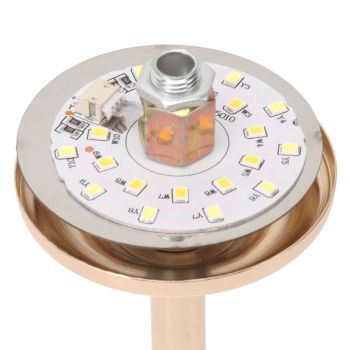 Feather Table Lamp 3 Color Dimmable Touch Switch USB Plug in Romantic Modern Decorative Bedside Light for Bedroom Black