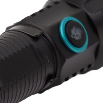 365nm Black Light Flashlight Zoomable Type C Rechargeable Aluminium Alloy Shell Portable LED Torch for Pet Urine
