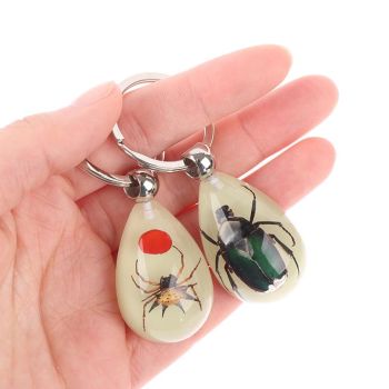 Glowing Insect Keychain Animal Specimens Keychain Resin Collectible Gift for Friends and Family