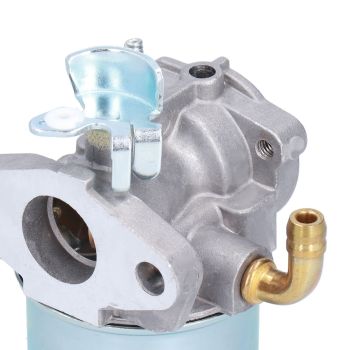 Carburetor Fuel Filter Set for 696981 698860 694508 795069 698859 790180 790290 693865 697354 698474 791991