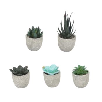 5pcs Artificial Succulent Plants Potted Assorted Mini Decorative Faux Succulent Potted Fake Plants Succulents in Paper Pulp Pot