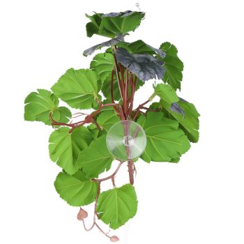2PCS Artificial Water Plant Simulation Vine Lifelike Plastic Leaves Decoration with Suction Cup for Fish TankDual Color Begonia Leaves