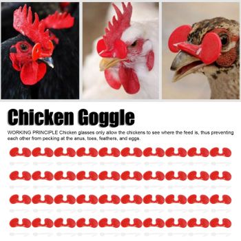 1000Set 6cm Chicken Blinders with Holes Plastic Anti Pecking Chicken Eye Glasses Goggles Accessory