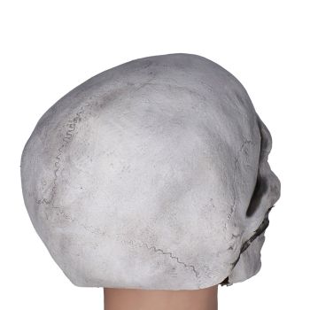 Scary Skull Mask with Movable Jaw Flexible Latex Halloween Costume Party Props Cosplay AccessoryWhite