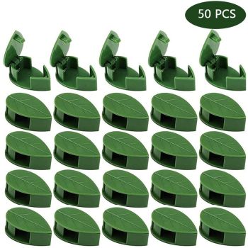 Pack of 50 Self Adhesive Plant Holders Plant Connector Clip Climbing Plants Fixing Wall Plant Clips for Supports Planting