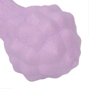 Peanut Massage Ball Multi Directional Massage Ergonomic Soft Double Lacrosse Massage Ball for Stress Reduction Purple