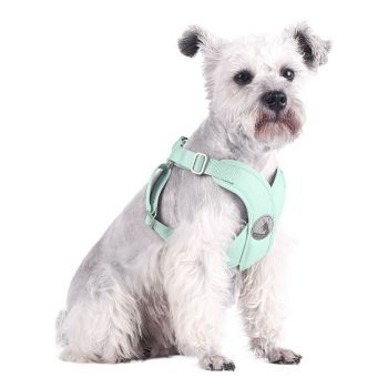 BORORO Pet Harness Cloth Vest Style Avocado green XS