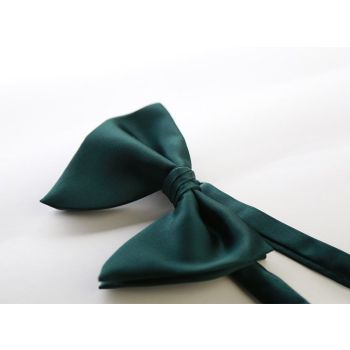 Men Bow Tie Solid Color Black Polyester Champagne