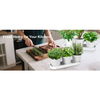 Herb Garden Planter Indoor Kit – 6 Metal Pots with 2 Trays for Windowsill & Kitchen Counter – Modern Decorative Indoor Planters for Herbs, Succulents & Small Plants, White