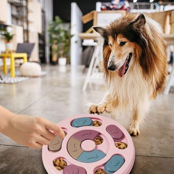 Interactive Dog Puzzle Feeder Toy, Slow Feeder with Sliding Lids for Mental Stimulation, Fun Treat Hide & Seek Game for Boredom Relief and Healthy Eating (Blue)