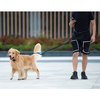 Hands-Free Dog Leash Set with Waist Belt and Storage Pouch, Shock-Absorbing Bungee Leash for Jogging, Walking, and Outdoor Adventures, Reflective Safety Design for Night Use (Green)