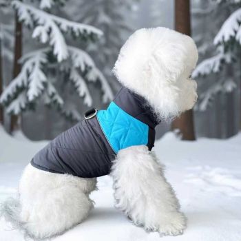 Winter Pet Dog Padded Vest with Waterproof Shell, Warm Fleece Lining, and Leash Attachment Ring for Outdoor Cold Weather Walks (L, Red)