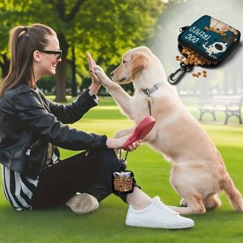 Durable Dog Treat Pouch with Transparent Window, Versatile Travel Organizer for Pet Snacks, Keys, and Small Essentials – Perfect for Outdoor Walks, Training, and Daily Use (B)