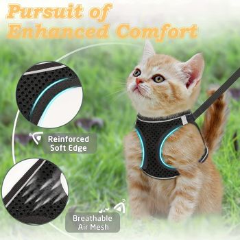 Escape-Proof Cat Harness and Leash Set with Reflective Soft Mesh Vest for Safe Outdoor Adventures with Your Feline Friend (S, Mint)