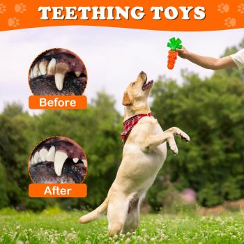 Interactive Carrot-Shaped Dog Chew Toy for Dental Health, Boredom Relief, and Treat Dispensing – Durable Nylon Material for Aggressive Chewers, Perfect for Fun Playtime with Your Pup (Coral Red)