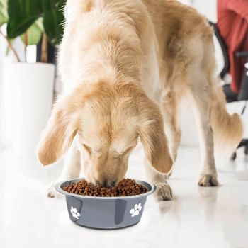 Stainless Steel Dog Bowls,Non Slip Pet Feeder Bowl,Water Food Bowls for Small Dogs(Pack of 2)
 Food Bowl for Big Giant Dogs