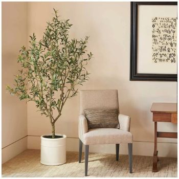 Artificial Olive Tree In French Crock Pot 2M