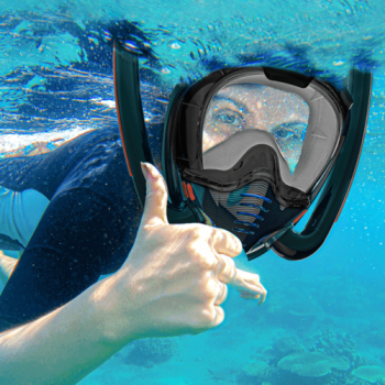 BlUE Full Face Snorkel Mask Swimming Breath Dry Diving Goggle Scuba Glass Anti-Fog AU S