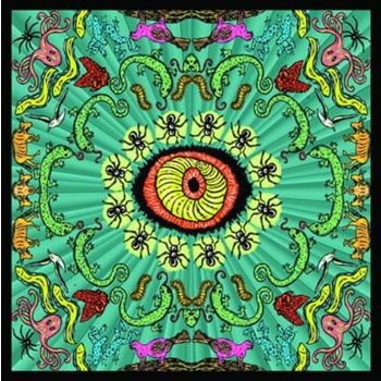 Wilderness - Handsome Family Cd Album