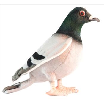 Pigeon 29cm L