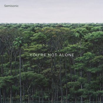 Youre Not Alone - Semisonic Cd Album