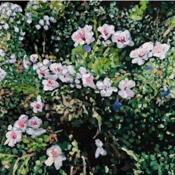 Dont Ask Yourself Why - Locke, Jess Cd Album