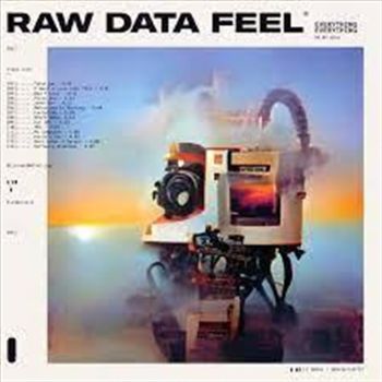 Raw Data Feel - Everything Everything Cd Album