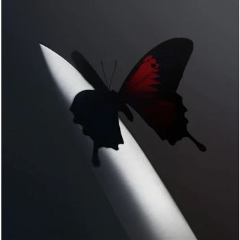 Twelve Carat Toothache: Japan - Post Malone Cd Album