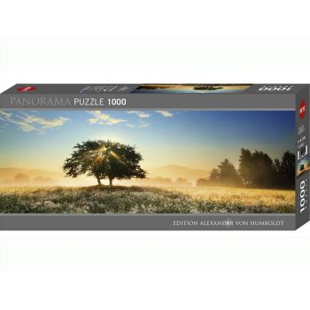 Panorama, Play Of Light 1000 Piece