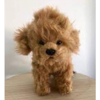 Toy Poodle Tea Cup 16cm