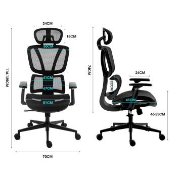 Fortia Ergonomic Office Desk Chair, Coolmesh Fabric, Adjustable Lumbar Support, Headrest, Armrest and Recline, Black Mesh/Black Frame
