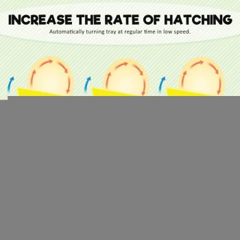 Rooster Farms Electric 96 Egg Incubator + Accessories for Chicken Quail Duck