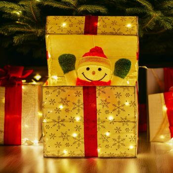 Christabelle Animated Snowman Gift Box Led Christmas Tree Decoration Ornaments