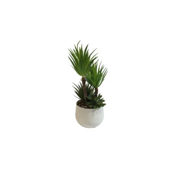 White Pot Succulent Plant 23cm