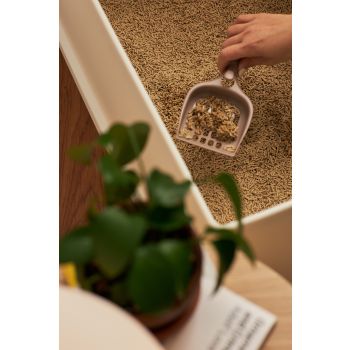 Whisker Wonderland Premium Biodegradable Bamboo Fibre Cat Litter 4KG - Fresh Bamboo Scent | Superior Odour Control, Fast Clumping & Flushable | Pet & Planet Friendly