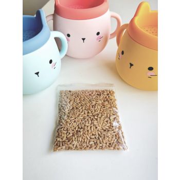 Whisker Wonderland Premium Cat Grass Seeds Refill - Hydroponic & Soil-Free Growing | Natural Digestion & Hairball Aid for Cats | Fresh & Nutritious