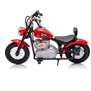 Single Rider Cruiser Bike 36V