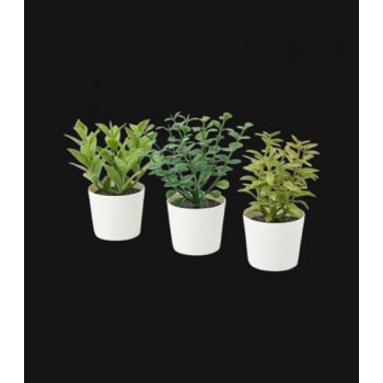 3 Pack of Artificial Herb Potted Plants in White Plastic 5cm Pot Interior Decoration