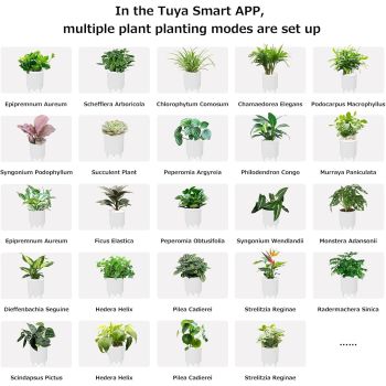 Intelligent Flower Pot, Electronic Bud, Maintenance Plant Assistant, Fun Interactive Flower Pot, Indoor Green Planting Monitoring, LCD Screen Display, Cell Phone APP Connection (White)