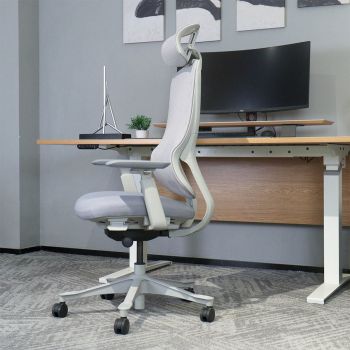 Lifespan Fitness DM8 Ergonomic Office Desk Chair (White/Grey)