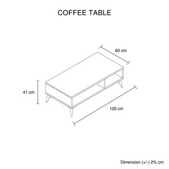 Coffee Table 2 Open Storage Cabinet MDF in Champagne Colour