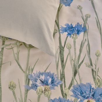 Bedding House Cornflower Sand 100% Cotton Percale Quilt Cover Set Queen