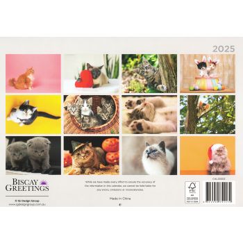 Cats And Kittens - 2025 Rectangle Wall Calendar 16 Months Hanging Animal Planner