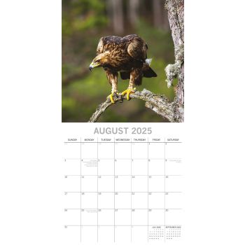 Country Wildlife - 2025 Square Wall Calendar Animals 16 Months Premium Planner