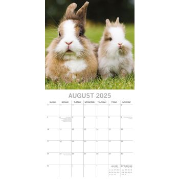 Cute Bunnies - 2025 Square Wall Calendar Pets Animals 16 Months Premium Planner