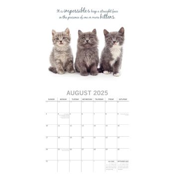 Cute Kittens - 2025 Square Wall Calendar Pets Animals 16 Months Premium Planner