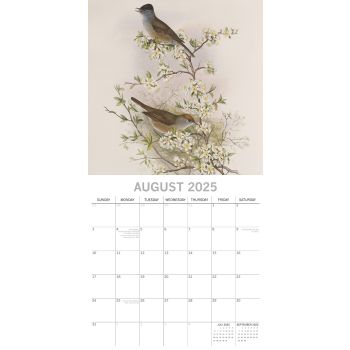 Garden Birds - 2025 Square Wall Calendar Pets Animals 16 Months Premium Planner