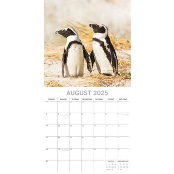 Penguins - 2025 Square Wall Calendar Pets Animals 16 Months Premium Planner Gift