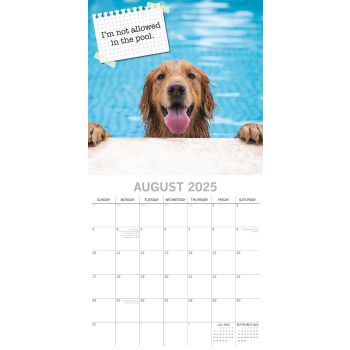 Dog Shaming 2025 Square Wall Calendar Pets Animals 16-Month Premium Planner Gift